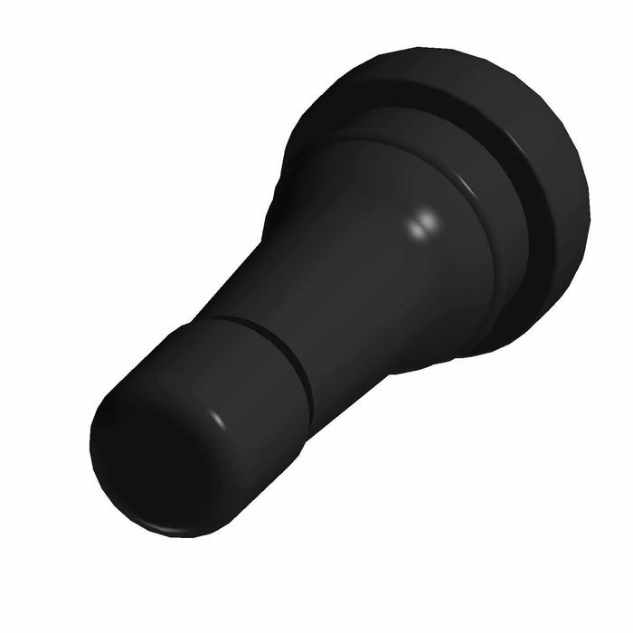 Polaris Rim Valve | 1521982