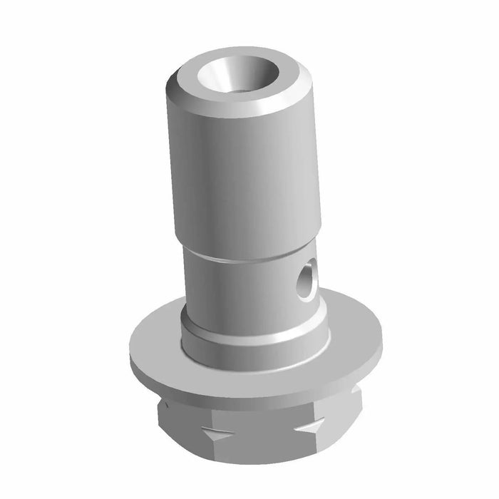 Polaris Banjo Bolt, 10 mm x 1.25-6G | 1910958