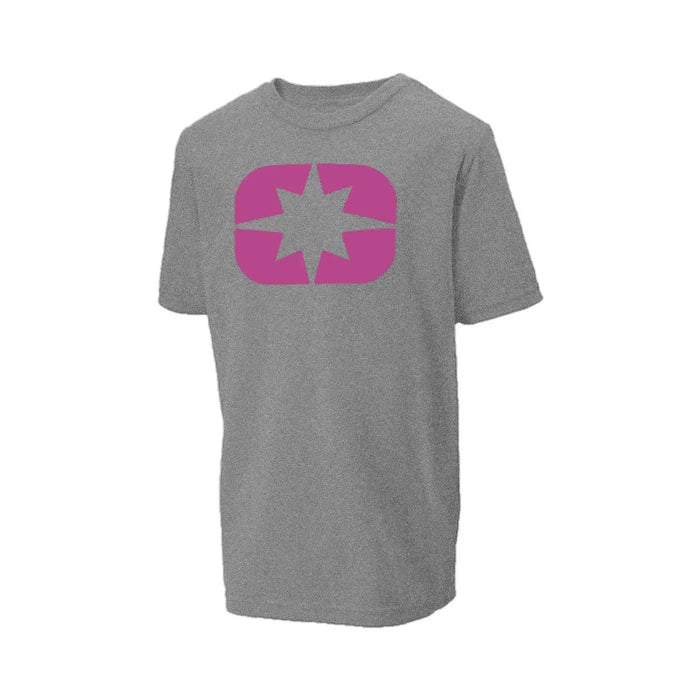 Polaris Youth Icon T-Shirt, Heather Gray | 2847042