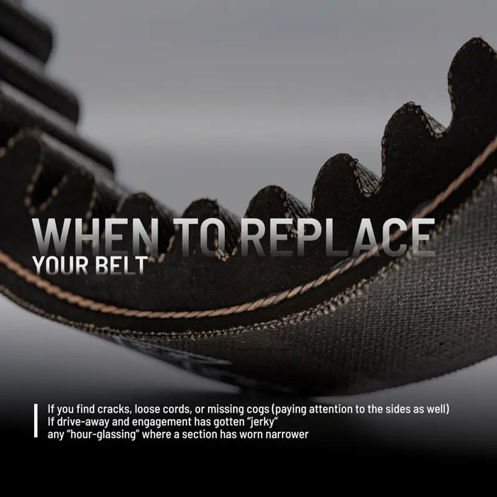 Polaris Heavy Duty Belt | 3212326