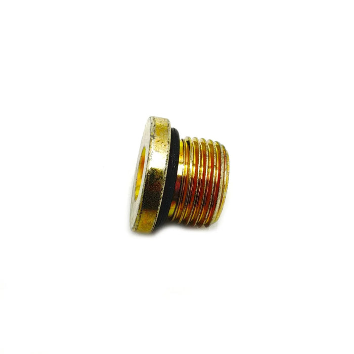 Polaris Socket Head Plug, 18 mm x 1.5 mm | 3234755