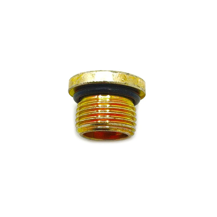 Polaris Socket Head Plug, 18 mm x 1.5 mm | 3234755