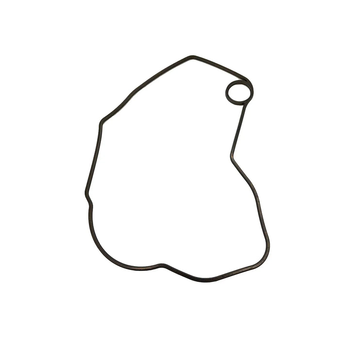 Polaris Stator Cover Gasket | 5414329