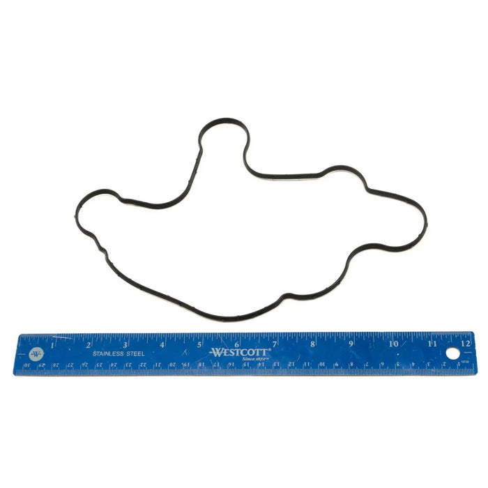 Indian Motorcycle Rocker Cover Seal | 5414859